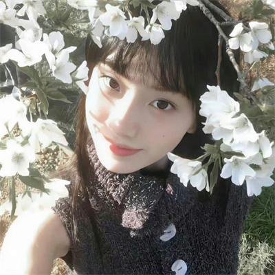 成曦曲